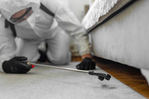Professional Bed Bug Control technician working in Carrollton, IL